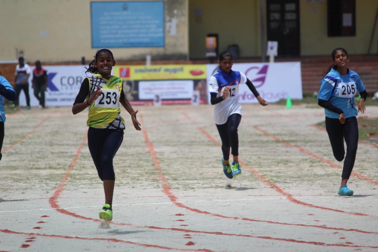 Andro Meet collection cover